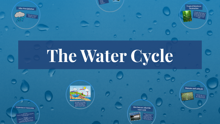 The Water Cycle by Wil Sessions on Prezi