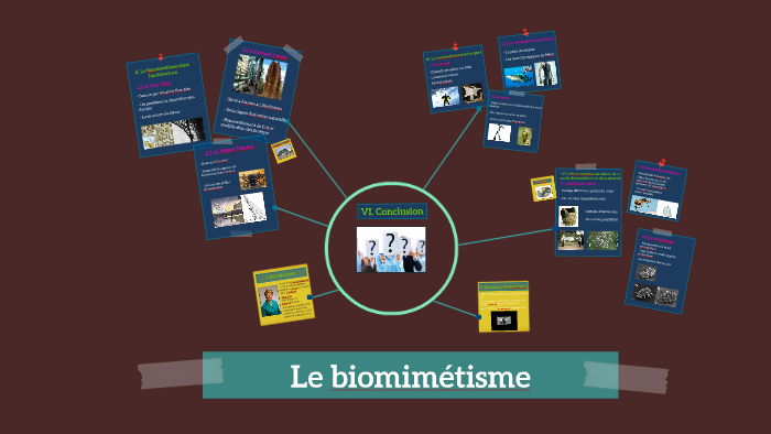 Le biomimétisme by louise cardon on Prezi Next