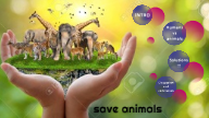 Save Animals 2 By Sahab Mohammed