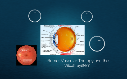 Bemer Vascular Therapy And The Visual System By Todd Wylie