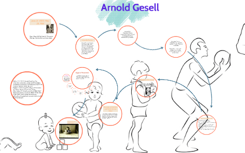 Arnold Gesell Theory Of Development