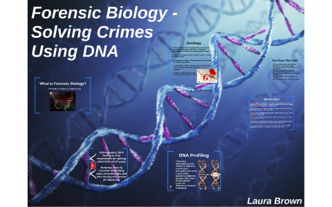 dna solving forensic biology crimes prezi