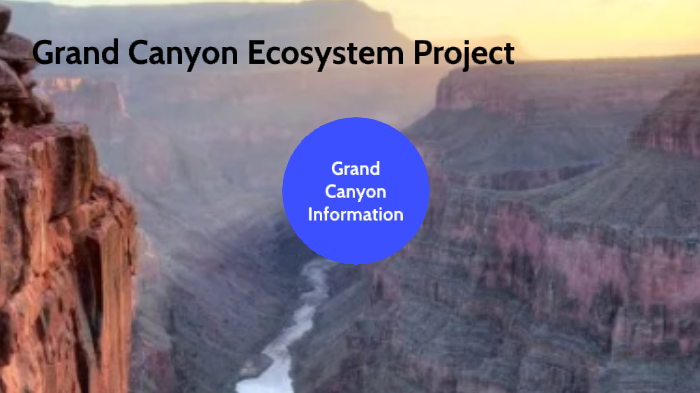 Grand Canyon Ecosystem Project by Caleb Kline on Prezi