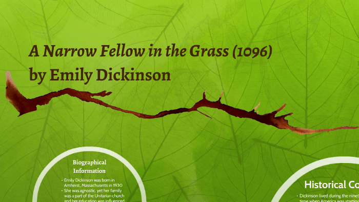 emily dickinson a narrow fellow in the grass analysis