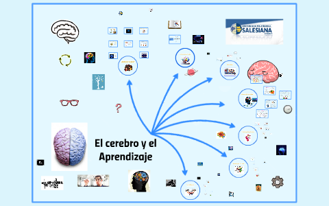El cerebro y el Aprendizaje by on Prezi