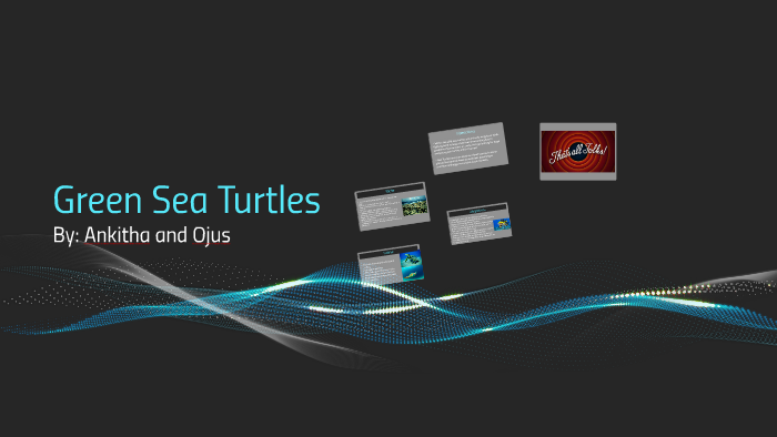 Green Sea Turtles by Ankitha Nagineni on Prezi
