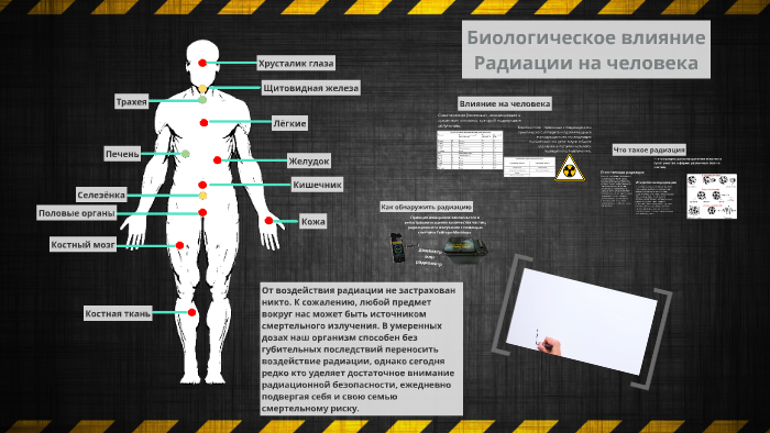 Биологическое воздействие радиации на человека презентация