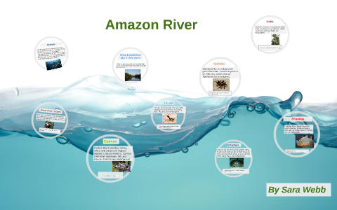 Amazon River by Sara Webb on Prezi