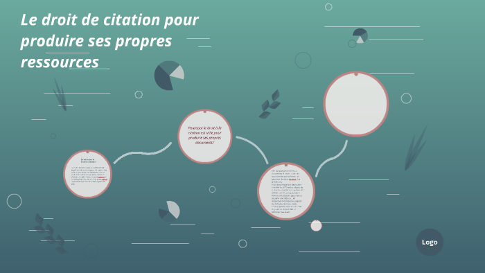 Le Droit De Citation Pour Produire Ses Propres Ressources By Feriel Ben Brahim