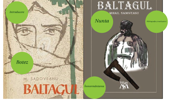 Baltagul Roman Monografic By Alex Topan On Prezi Next