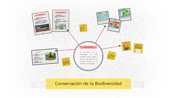 Conservación de la Biodiversidad by Aimi Camacho