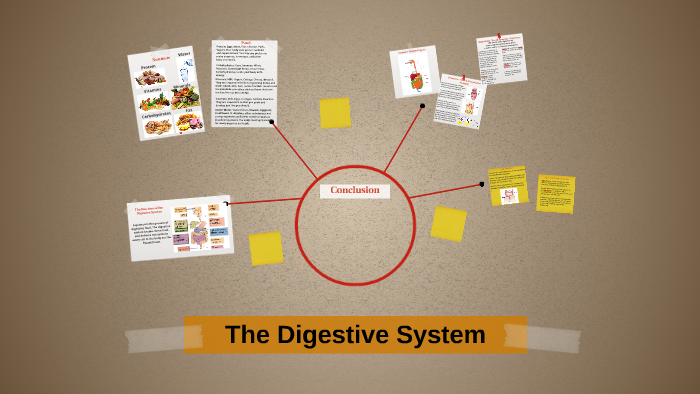 The Digestive System by Rocky Facciolo on Prezi