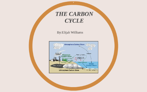 THE CARBON CYCLE by Elijah Williams on Prezi
