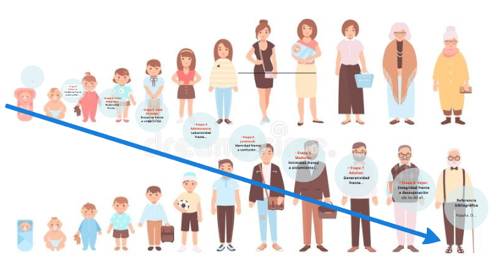 Ciclo De La Vida Según Erik Erikson By Adriana Oliveros On Prezi 1862