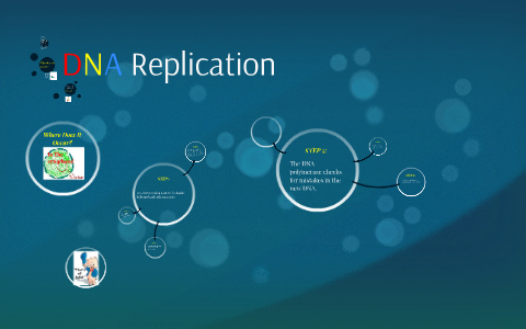 DNA Replication by deanna daniels on Prezi