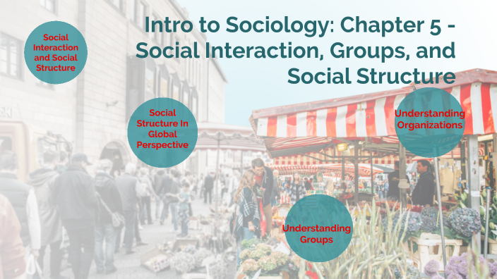 Chapter 5 -Social Interaction, Groups, And Social Structure By MURIEL ...