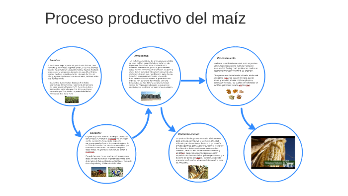 Proceso productivo del maiz by Lautaro Andres