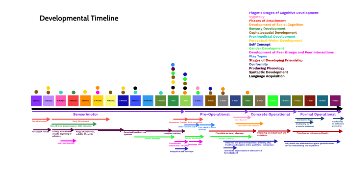 Developmental Timeline by Matous Beeldman on Prezi