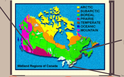 The Climate Zones of Canada by Jacob Egnor on Prezi