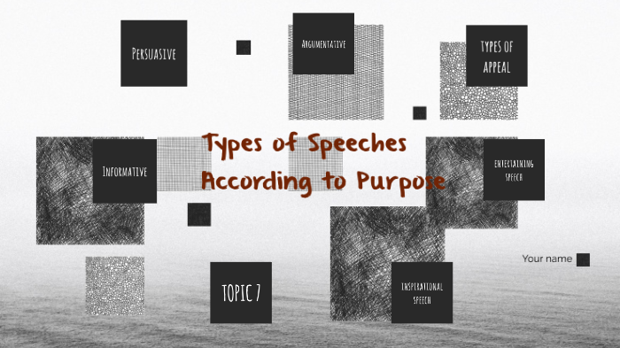 type of speech according to purpose used