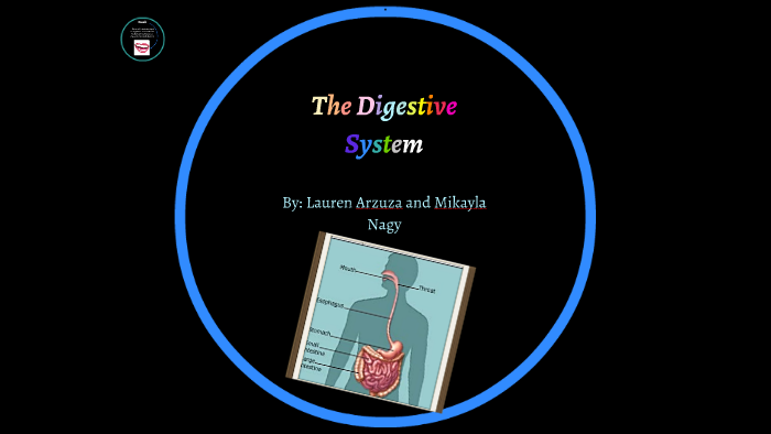 The Digestive System by Lauren Arzuza on Prezi