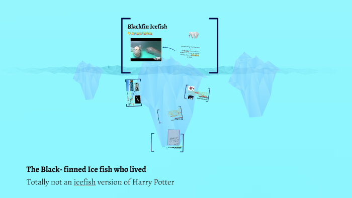 Crocodile Icefish by jerry godwin on Prezi