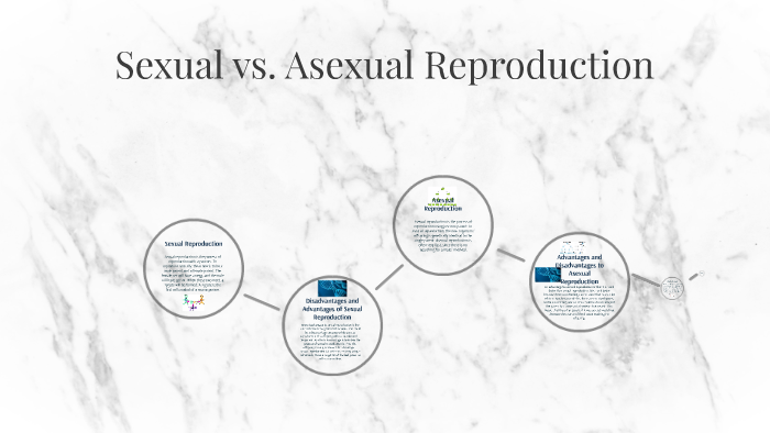 Asexual Reproduction Vs Sexual Reproduction Chart