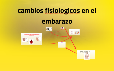 cambios fisiologicos en el embarazo by cristian cubillos