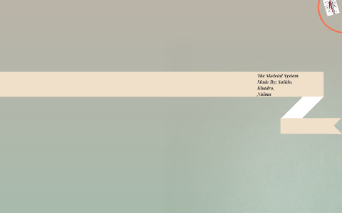 The Skeletal System by khadro mohamed on Prezi