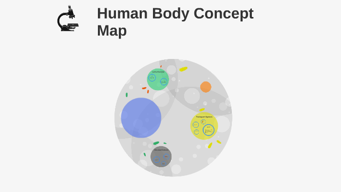 Human Body Concept Map by Donovan Duong