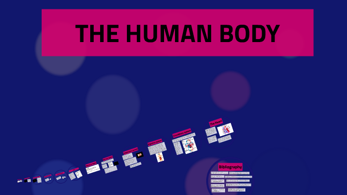 human-body-project-by-alex-kim