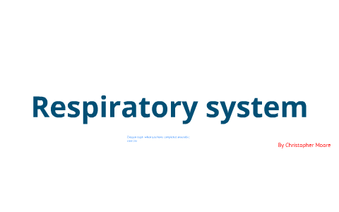 Respiritory System By Chris Moore On Prezi