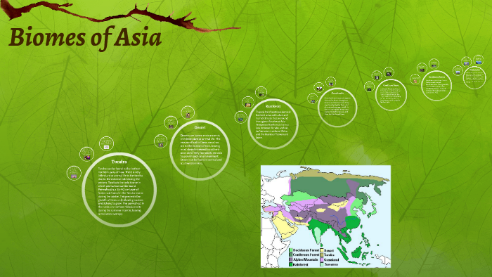 Biomes of Asia by Alissa Perkins on Prezi