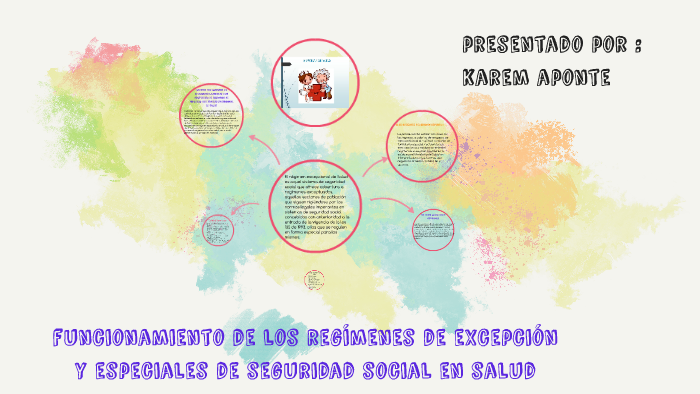 funcionamiento de los regímenes de excepción y especiales de by Karen ...