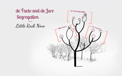 De Facto De Jure Little Rock 9 By Amanda Boyer