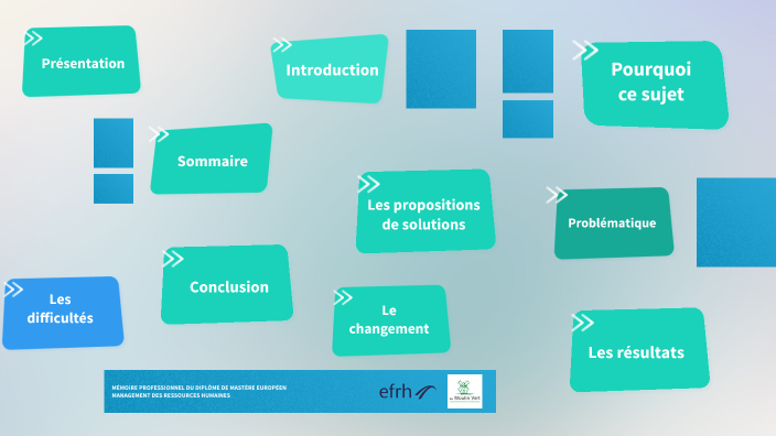 MÉMOIRE PROFESSIONNEL DU DIPLÔME DE MASTÈRE EUROPÉEN MANAGEMENT DES ...