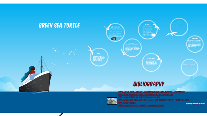 Green sea turtle by Jaylah Ybarra on Prezi