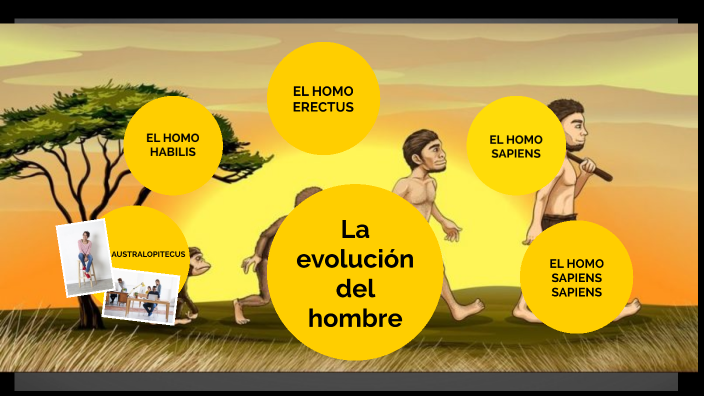 Evolucion del ser humano by Scarlette Guanolique on Prezi