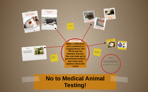 Death and Medical Animal Testing by Rachel Vasquez on Prezi