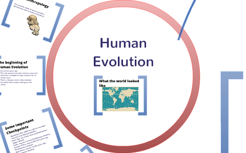 Human Evolution by Ben Radinsky