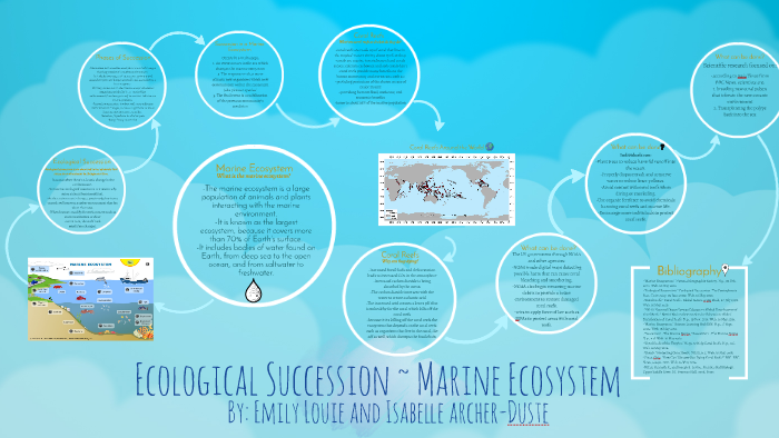 Ecological Succession ~ Marine by Wintery Winters on Prezi