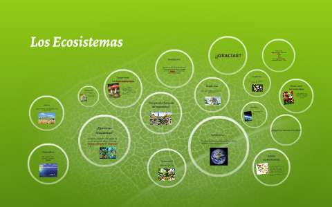 Los Ecosistemas by Maria Fernanda Pinon on Prezi