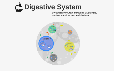 Digestive System by on Prezi