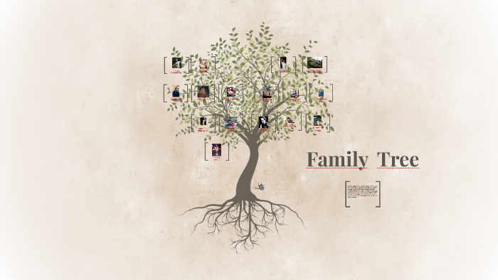 Family Tree by Donna McNair