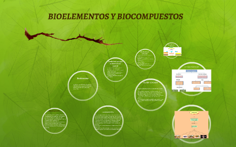 BIOELEMENTOS Y BIOCOMPUESTOS by Nelson Guerra on Prezi