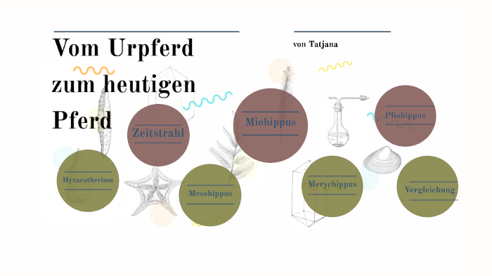 Entwicklung Vom Urpferd Zum Heutigen Pferd