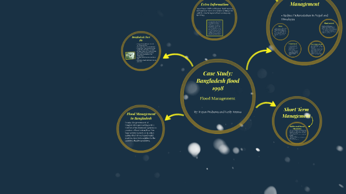 bangladesh 1998 flood case study