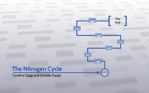 The Nitrogen Cycle by Danielle Fradet on Prezi