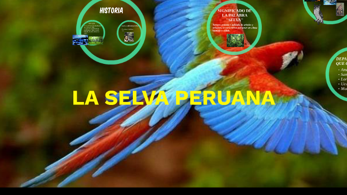 LA SELVA PERUANA by David Tlv on Prezi