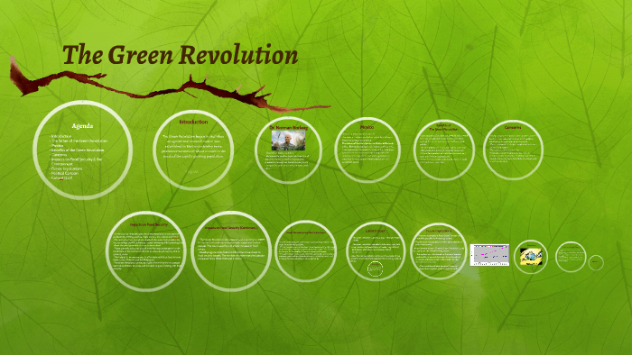 assignment on green revolution